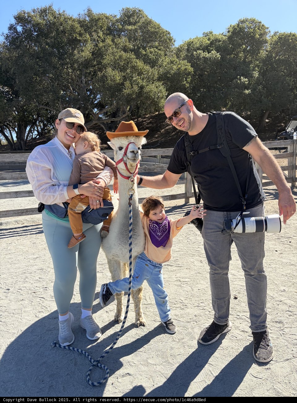 Alpaca Adventure in Carmel Valley
