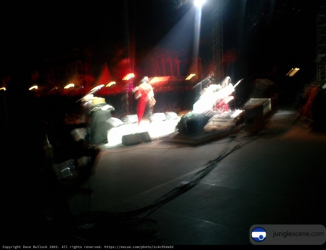 Blurry Night at Coachella