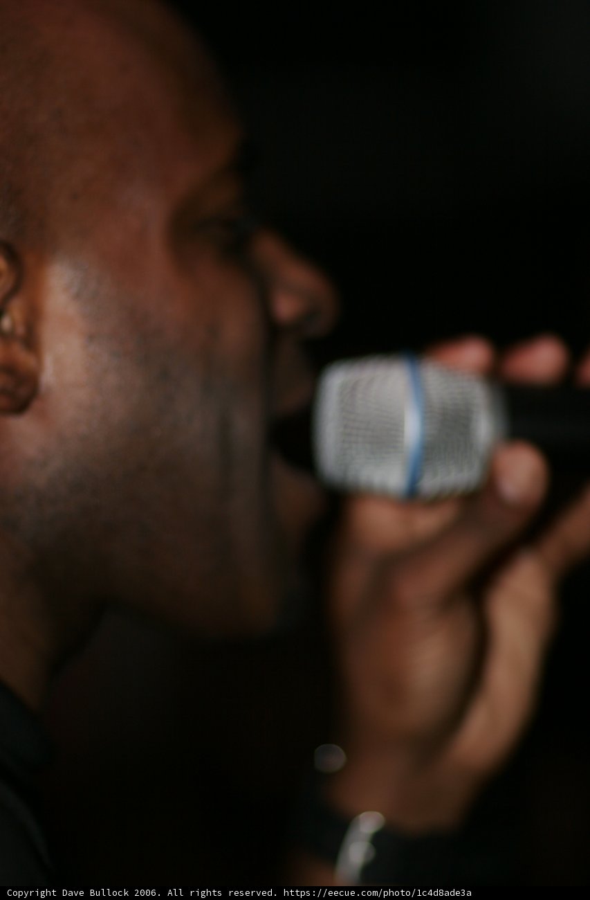 The Entertainer with a Microphone