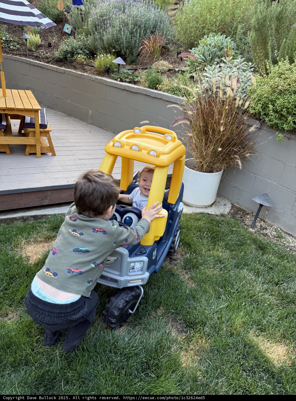 Backyard Adventures