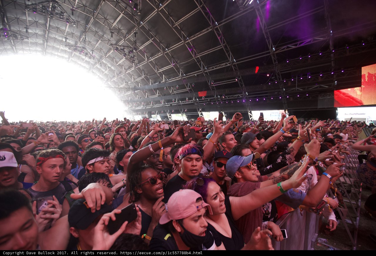 Coachella Crowd Rocks Out