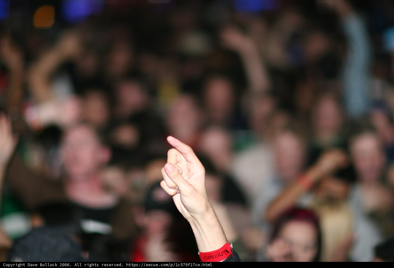 High Spirits at the Concert!
