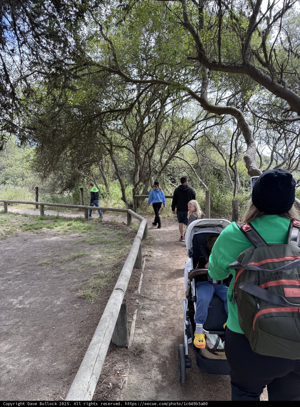 Strolling Through Nature's Embrace