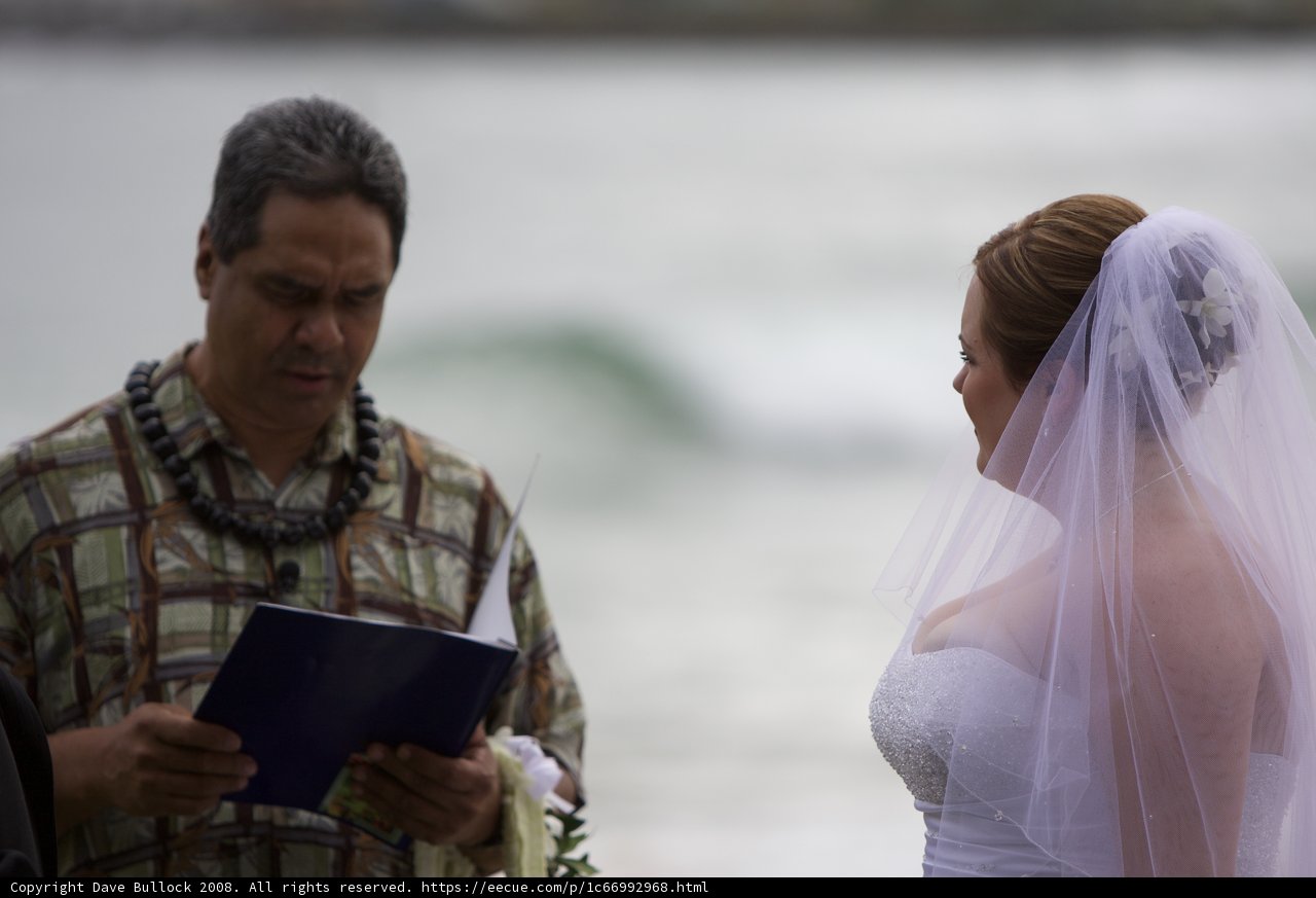 A Dreamy Wedding by the Ocean