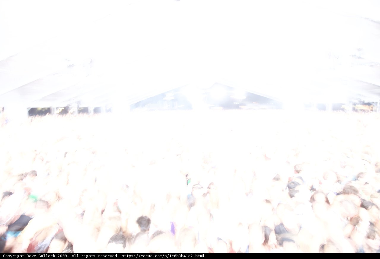 Rocking in the Crowd