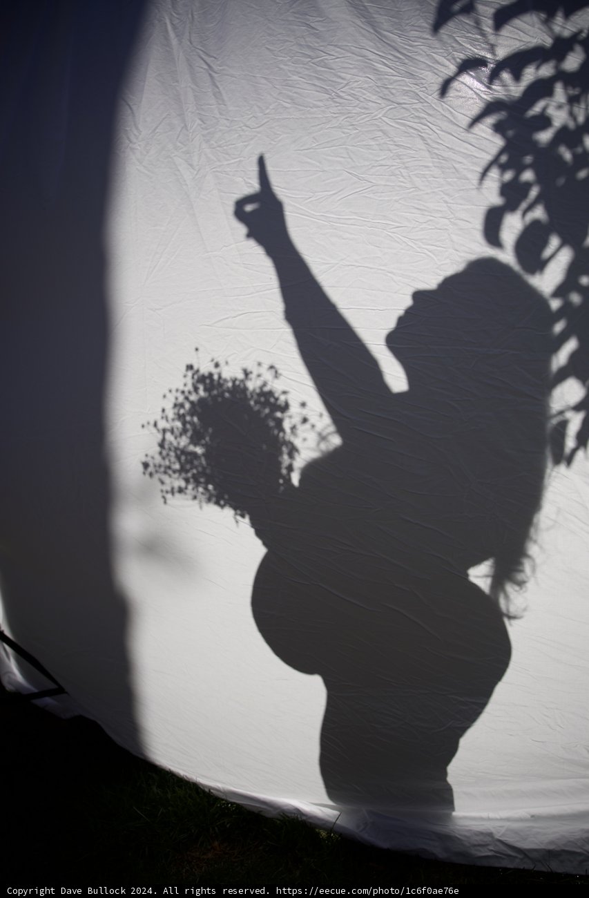 Anticipation in Silhouette