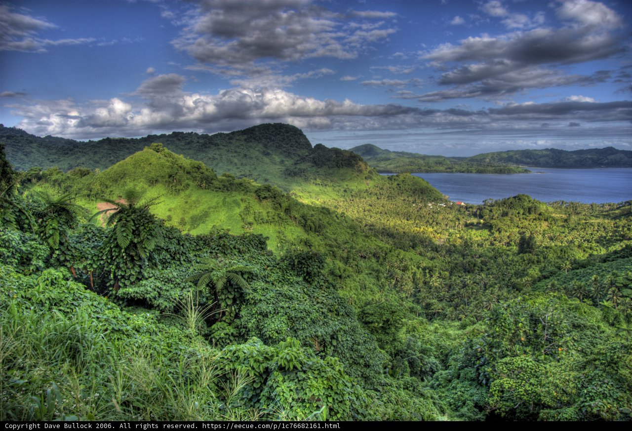 Blissful Serenity in Fiji's Rainforest