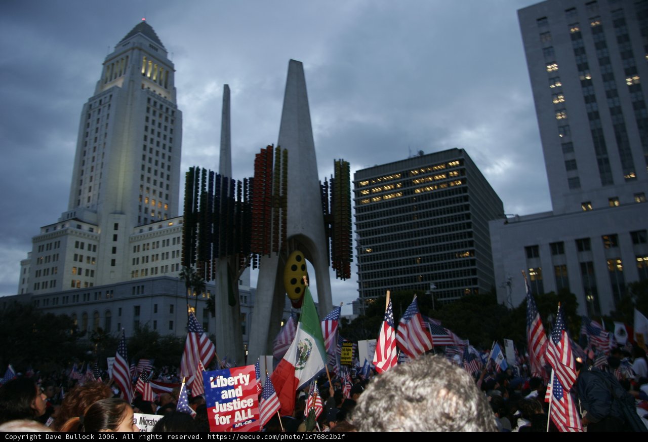 Patriotic Crowd in Metropolis