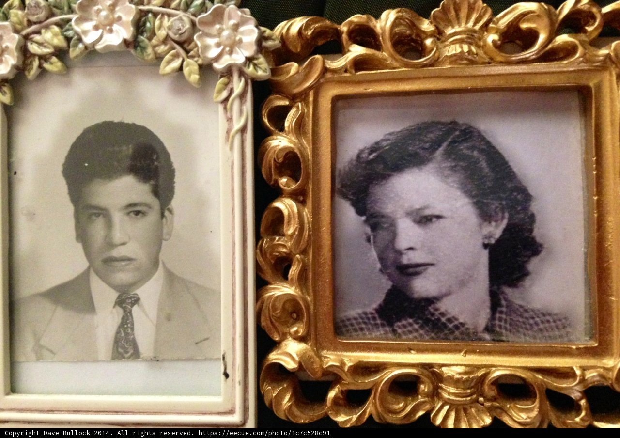 Vintage Wedding Portraits