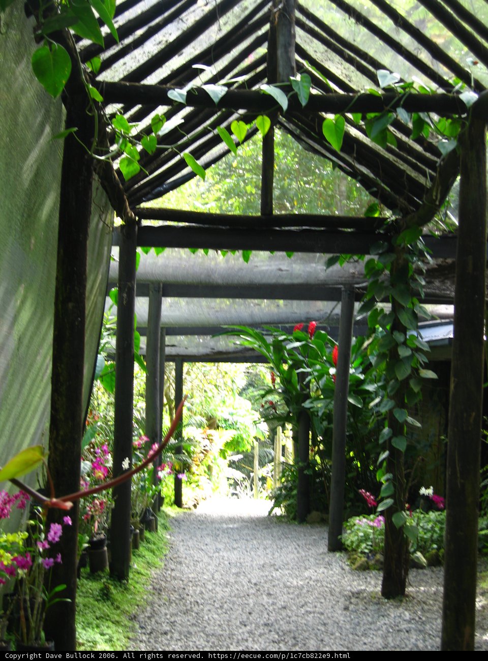 Enchanting Walkway with a Pergola