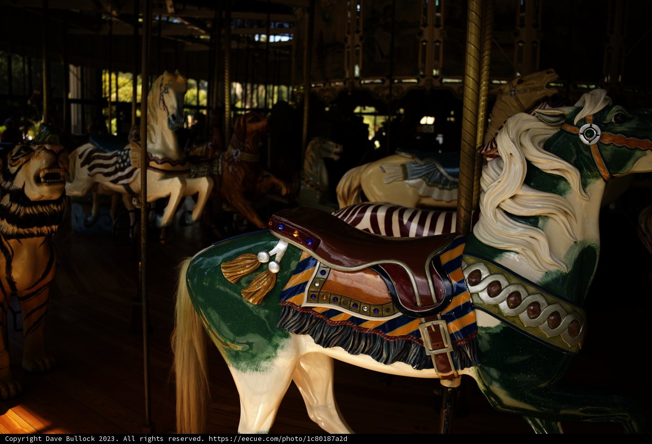 A Ride on the Wild Side: Carousel Horse at Golden Gate Park