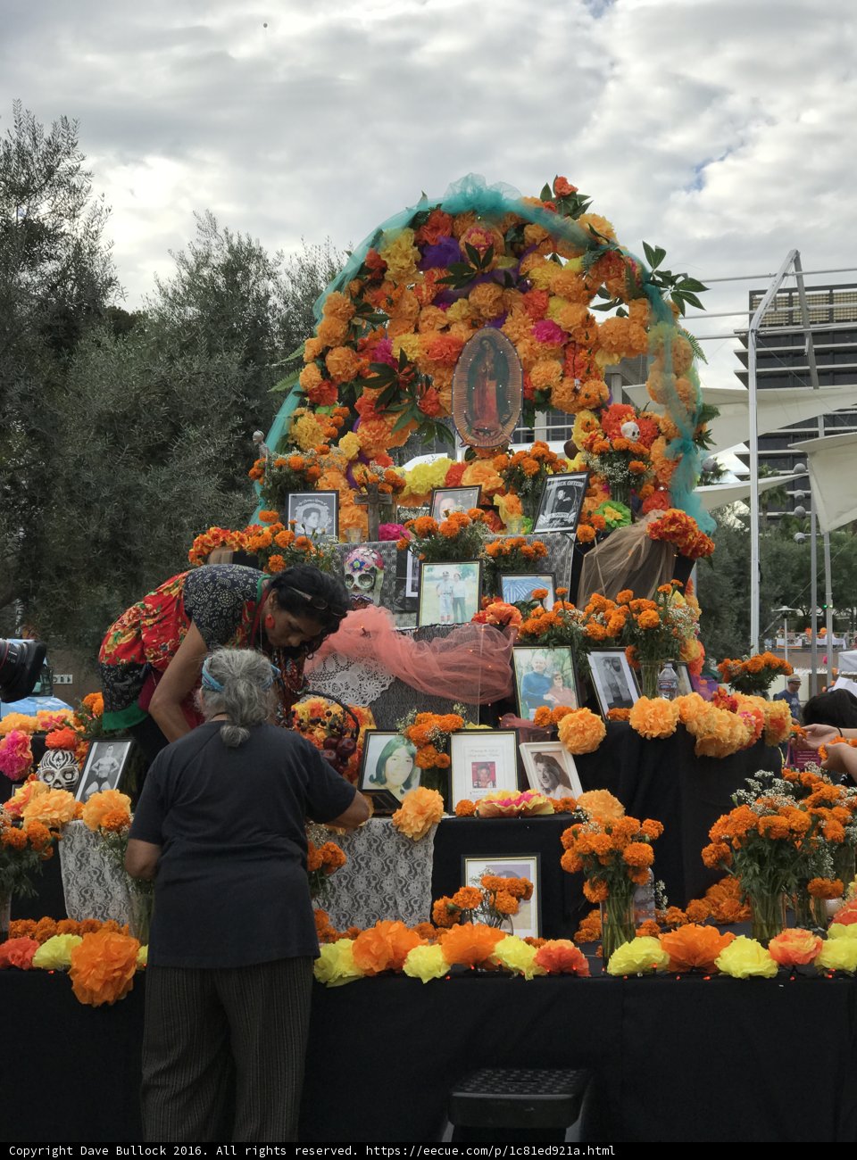 Flower Display at Grand Park