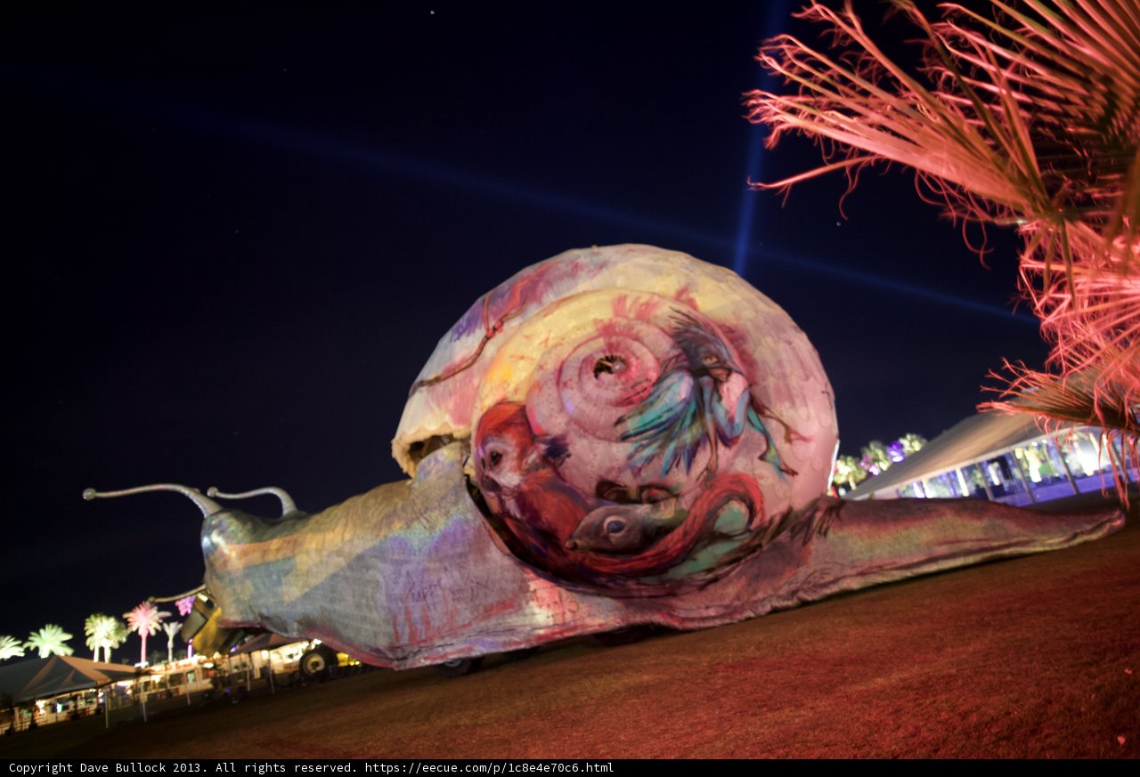 Nighttime Snail Sighting
