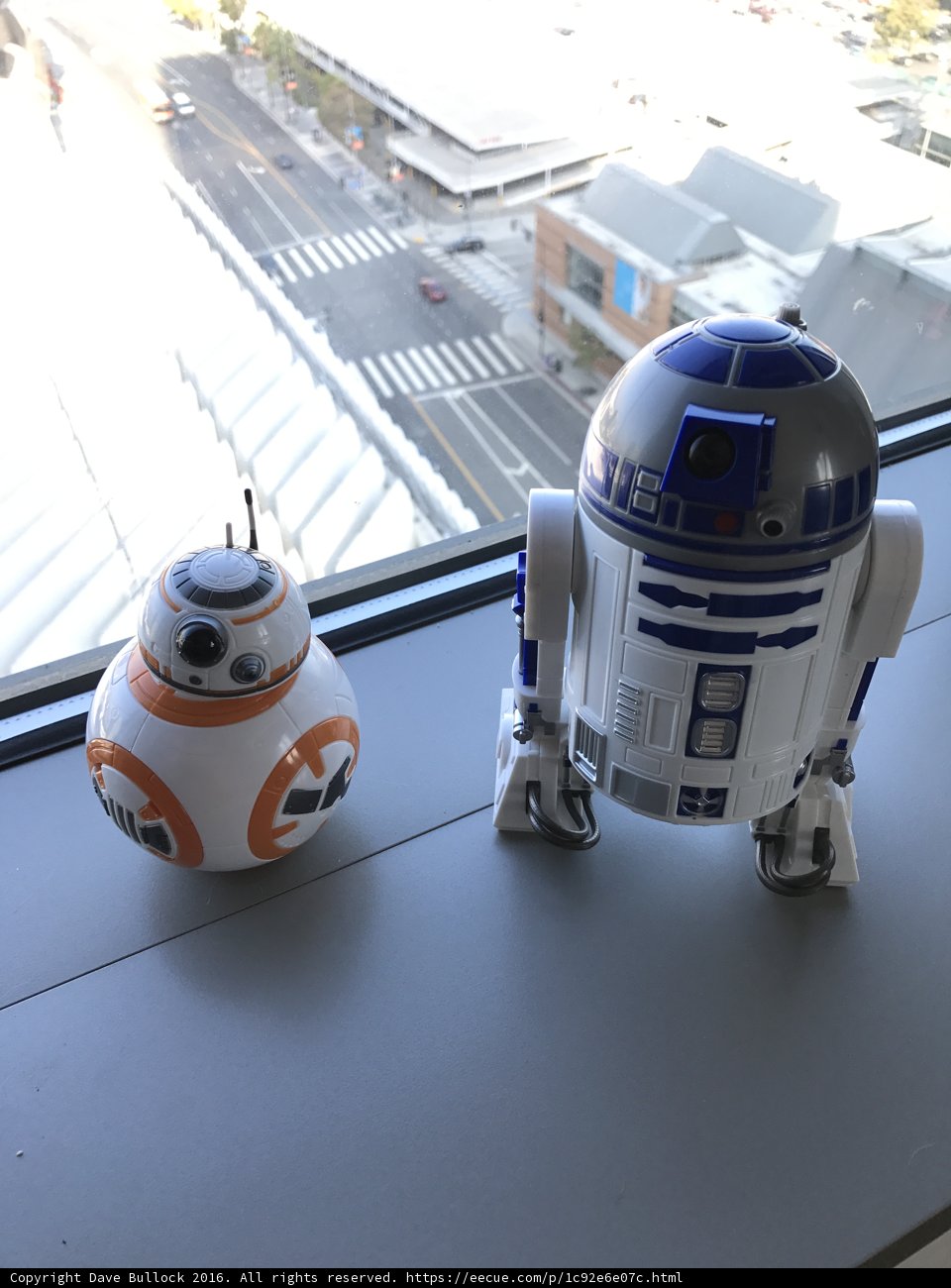 Robotic Window Watchers