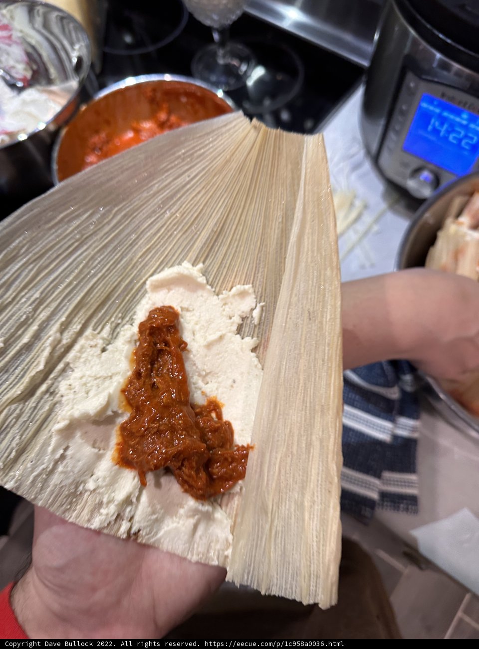 Savory Tamale Delight