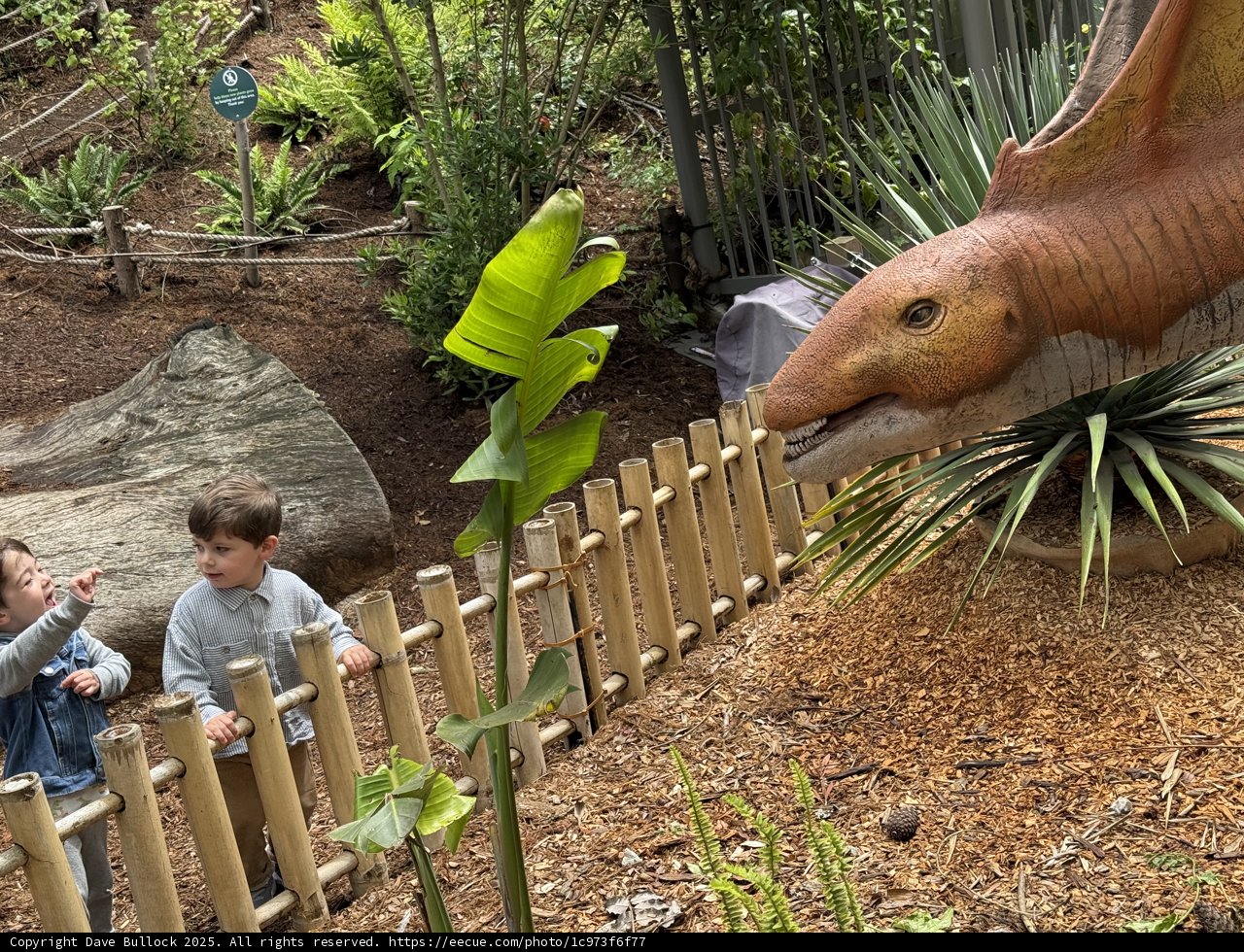 Backyard Adventure: Dino Discovery