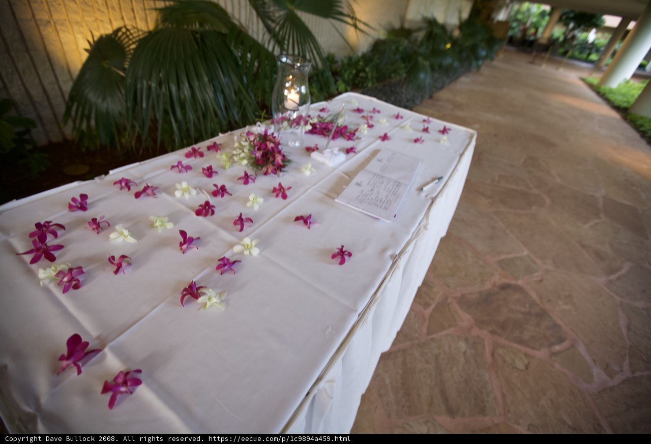 A Serene Sight: Pink Orchids on a White Tablecloth