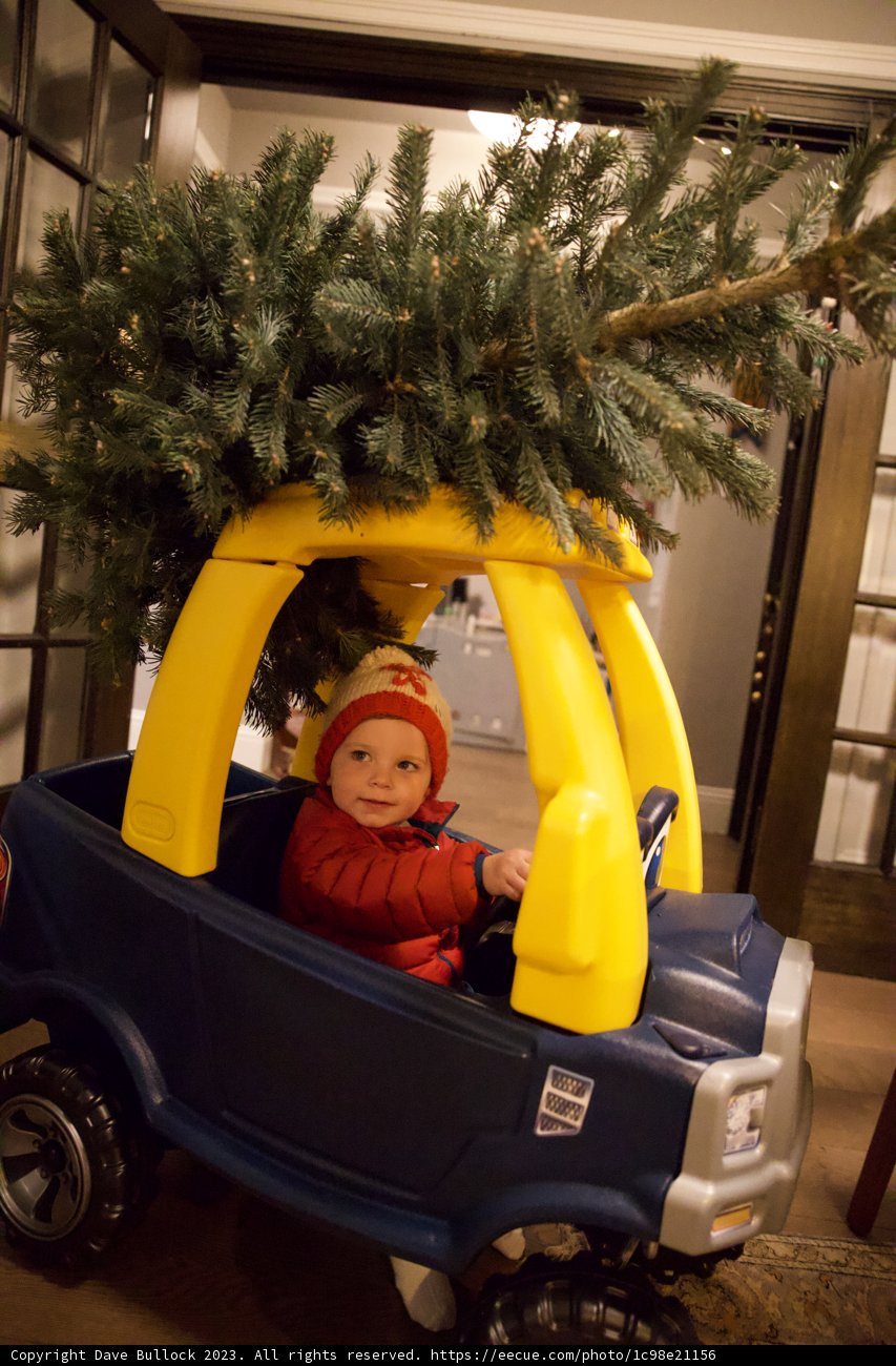 Wesley's Festive Ride