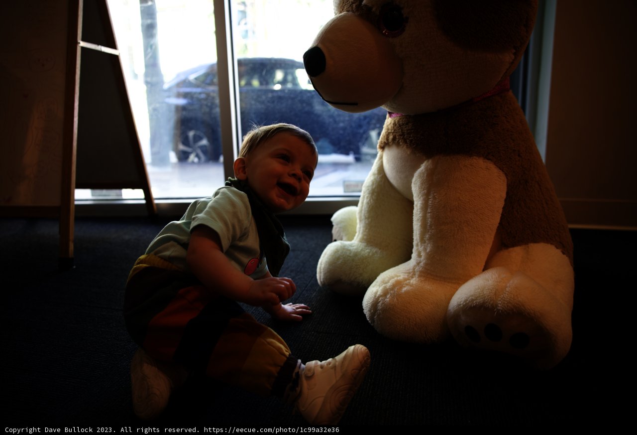 Wesley's New Furry Friend
