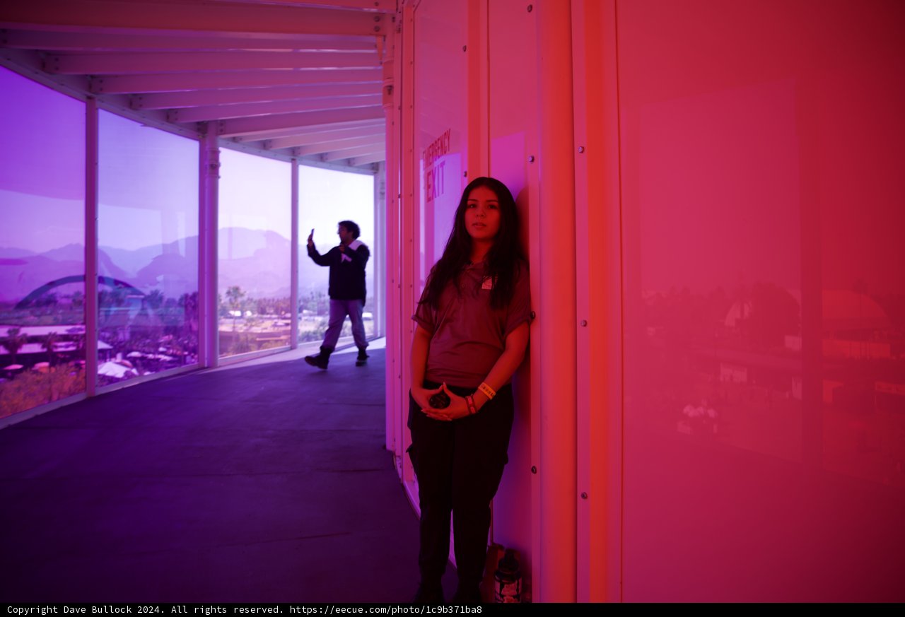 Vivid Interlude: A Pause in Purple