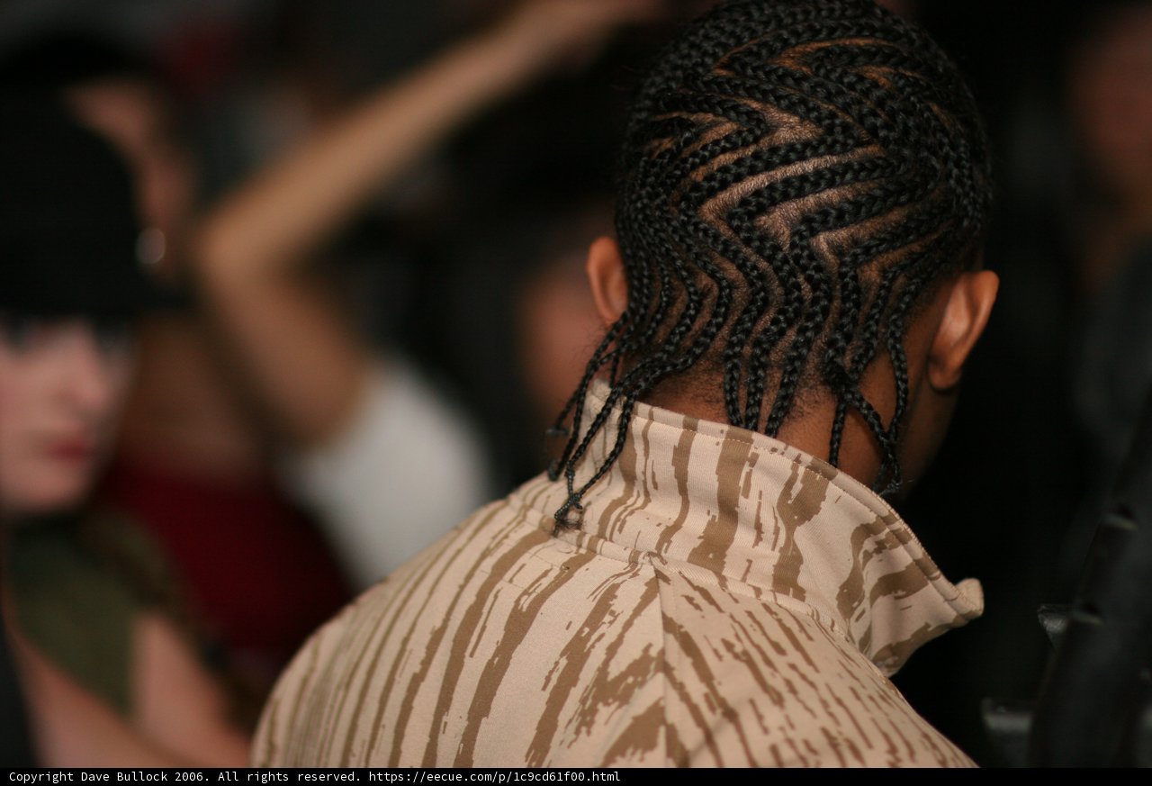 Braided Beauty