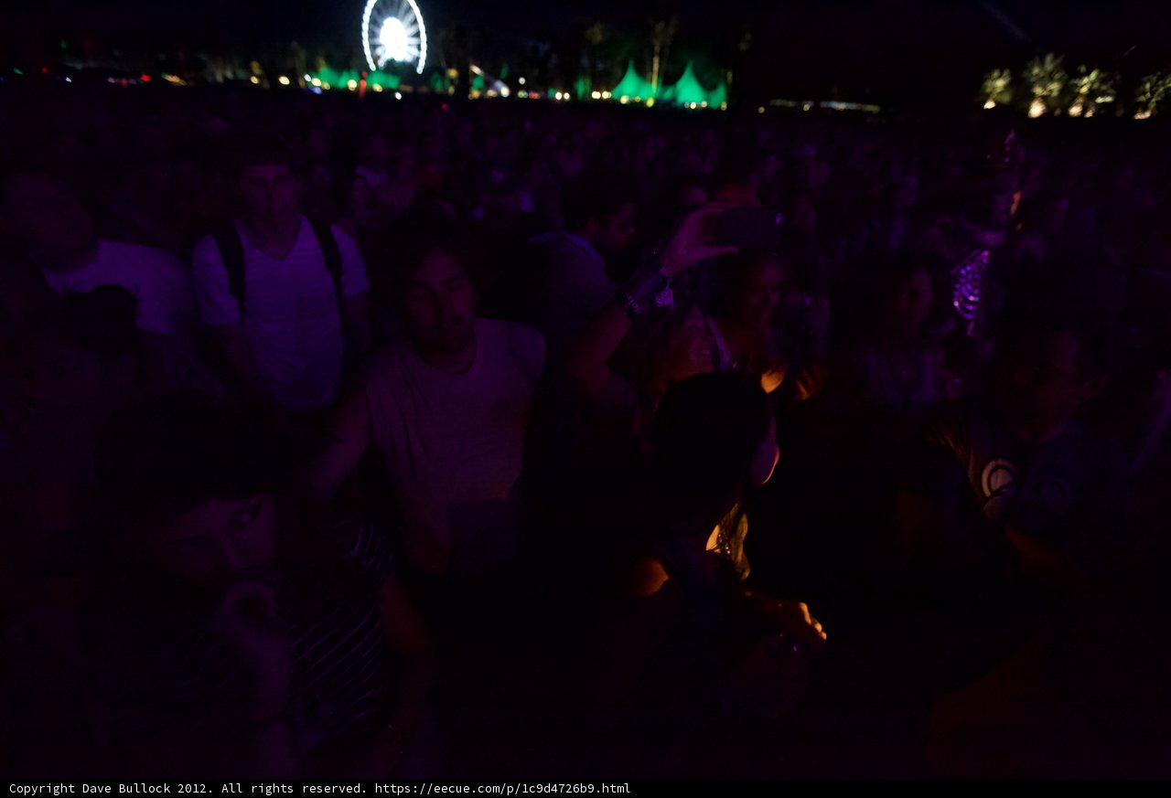 Urban Nightlife: A Crowd at Coachella Concert