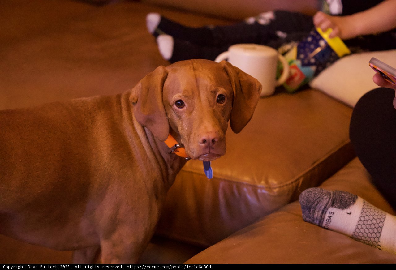 Precious Family Moments: A Relaxing Afternoon At Home
