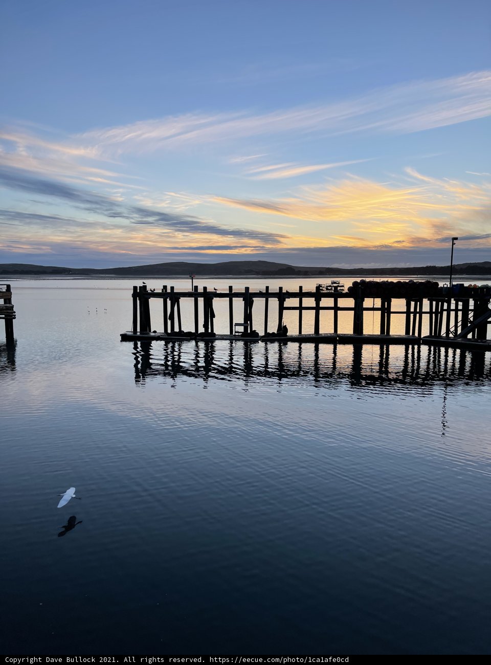 Bodega Harbor's Pier at Sunset