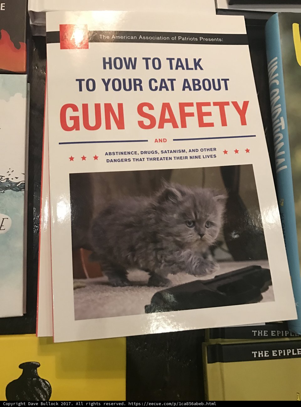 Gun Safety Publication Displayed in Los Angeles Shop