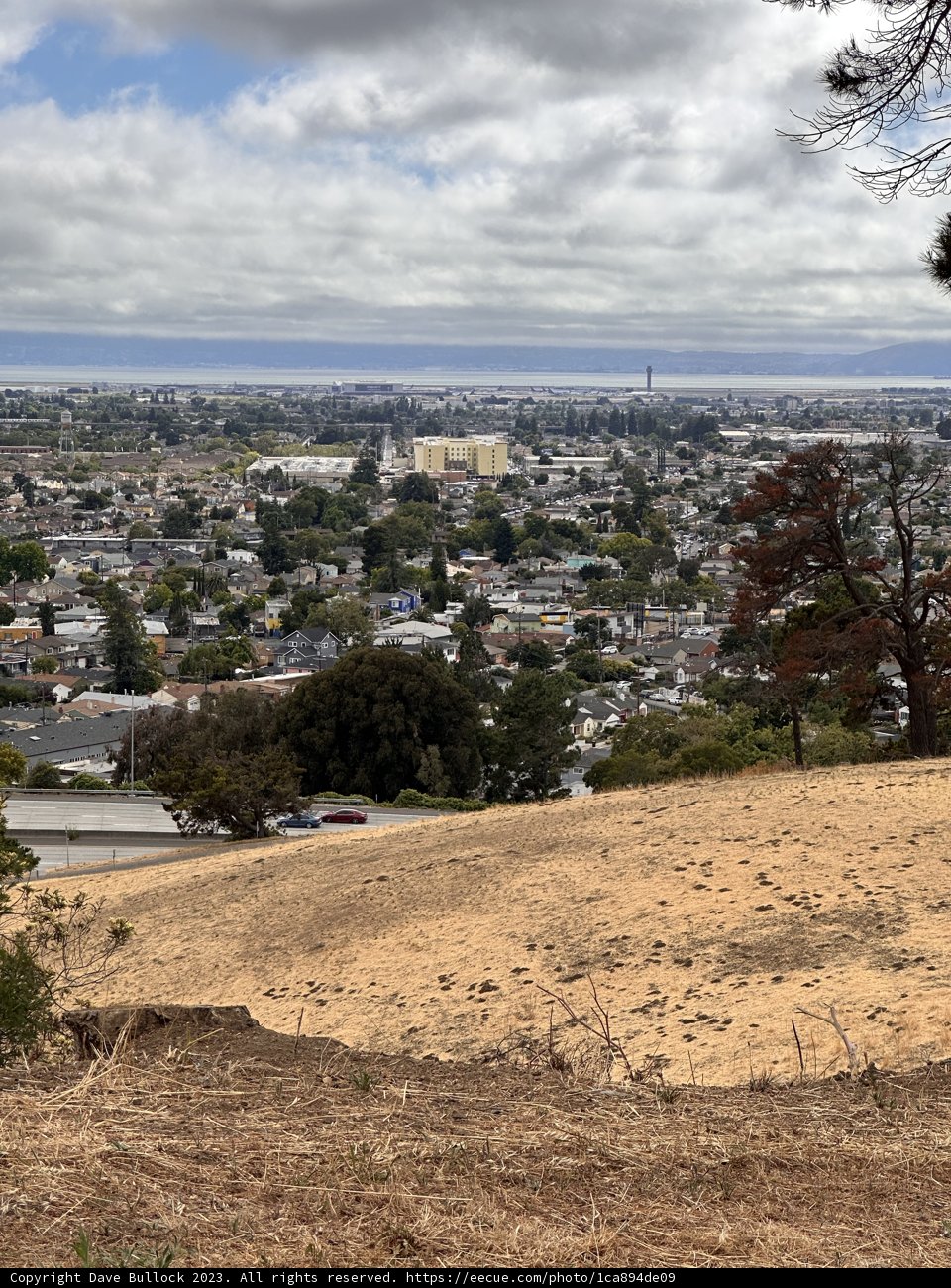 Urban Tapestry: A View from the Hilltop