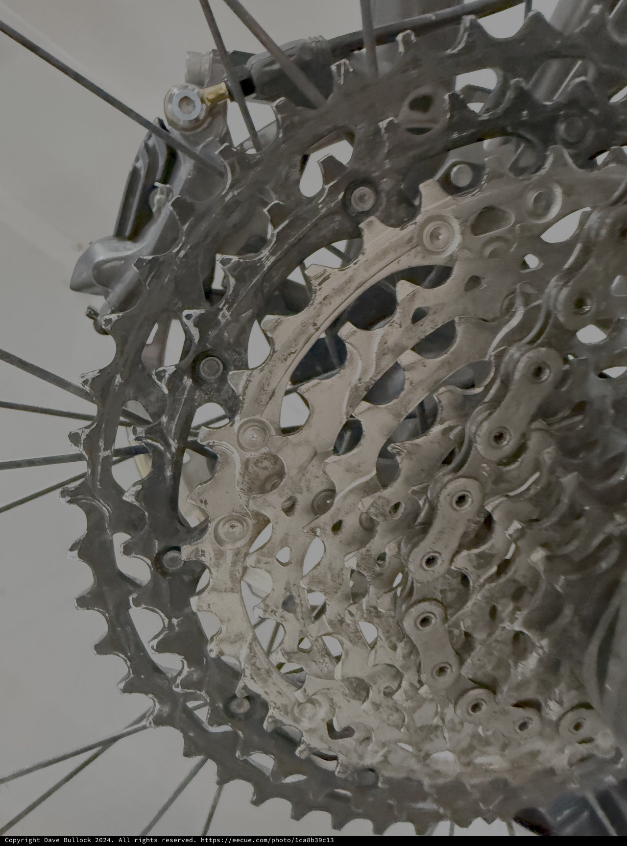 Muddy Bicycle Drivetrain and Rear Wheel