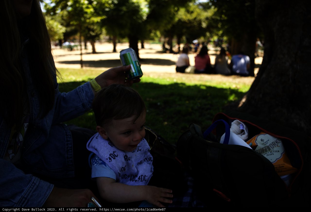 Tender Moment in the Park