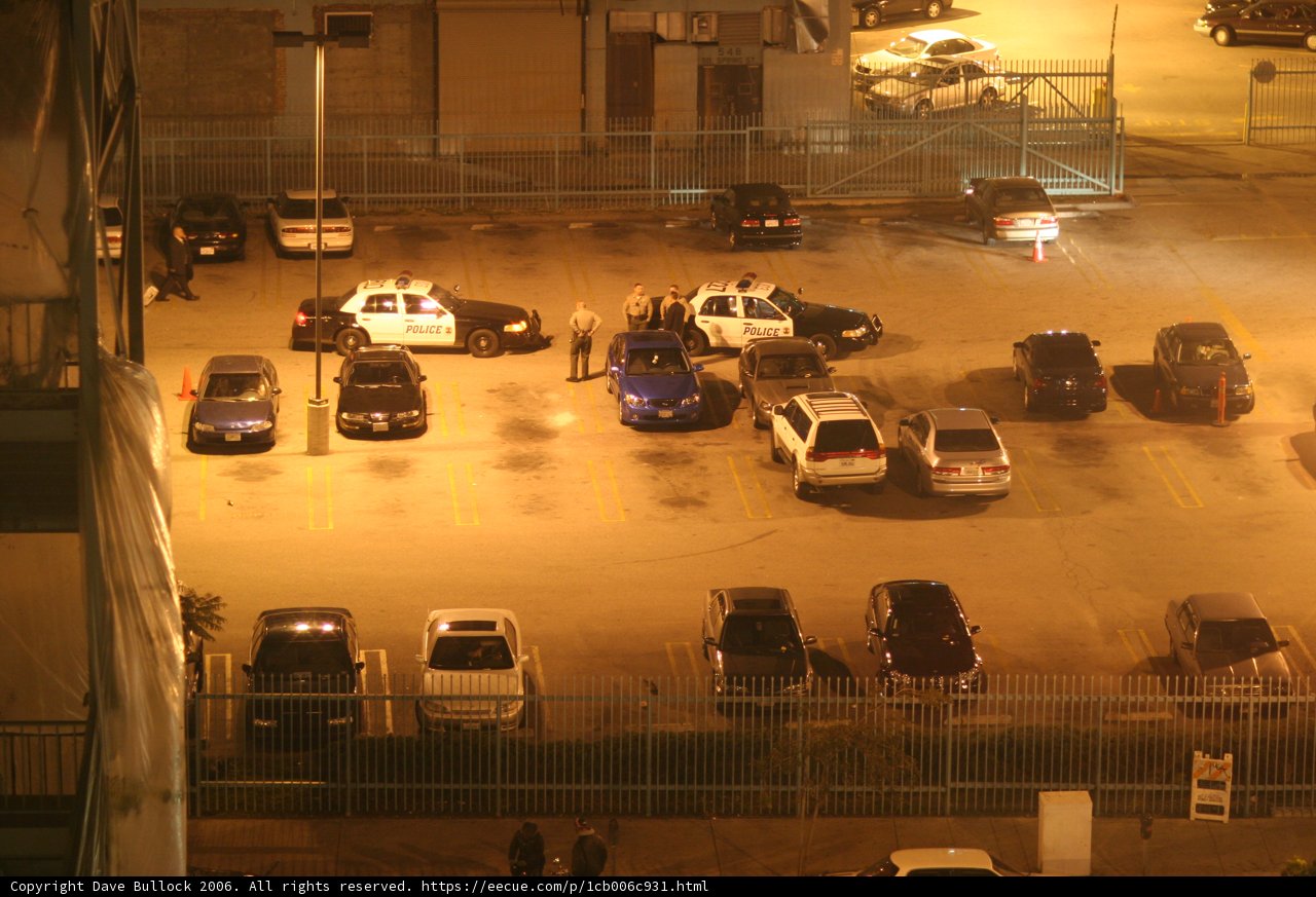 Police Car in Busy Parking Lot
