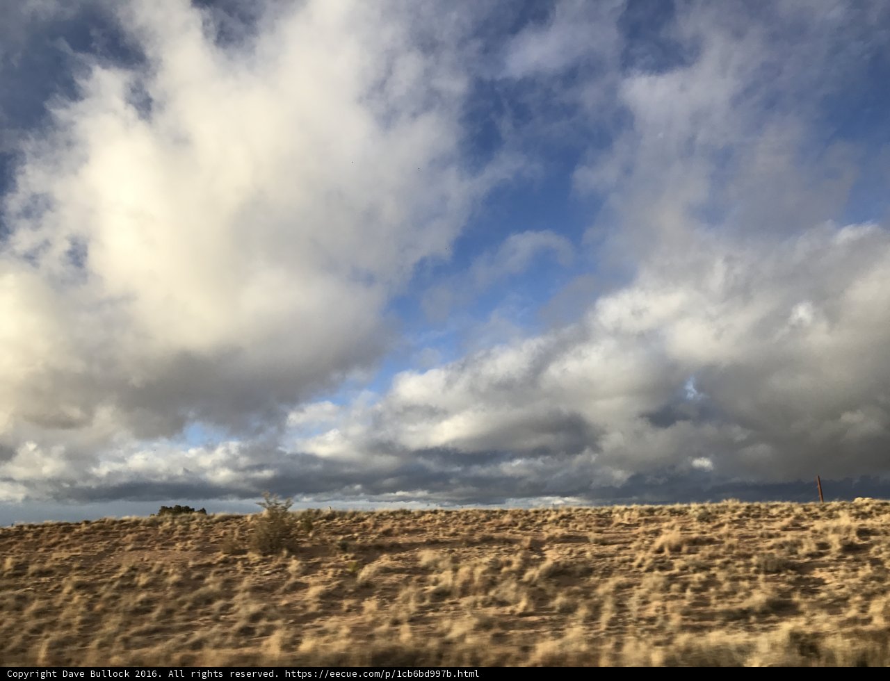 The Vast Fields of Santa Fe