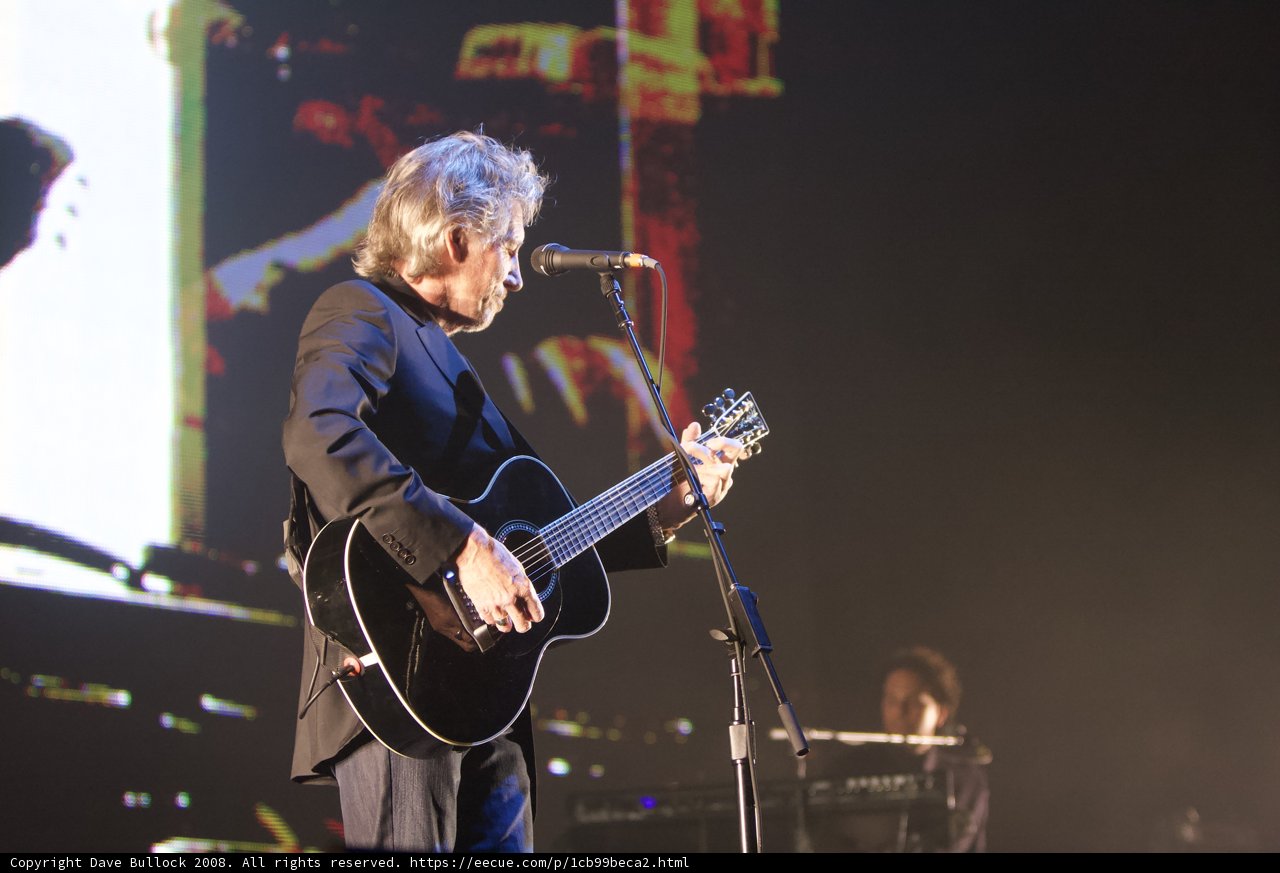 The Guitarist Rocks the Crowd