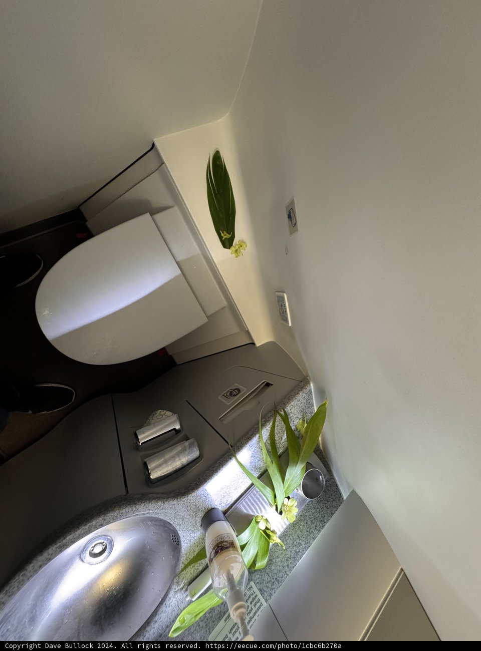 Unexpected Greenery in a Utilitarian Space