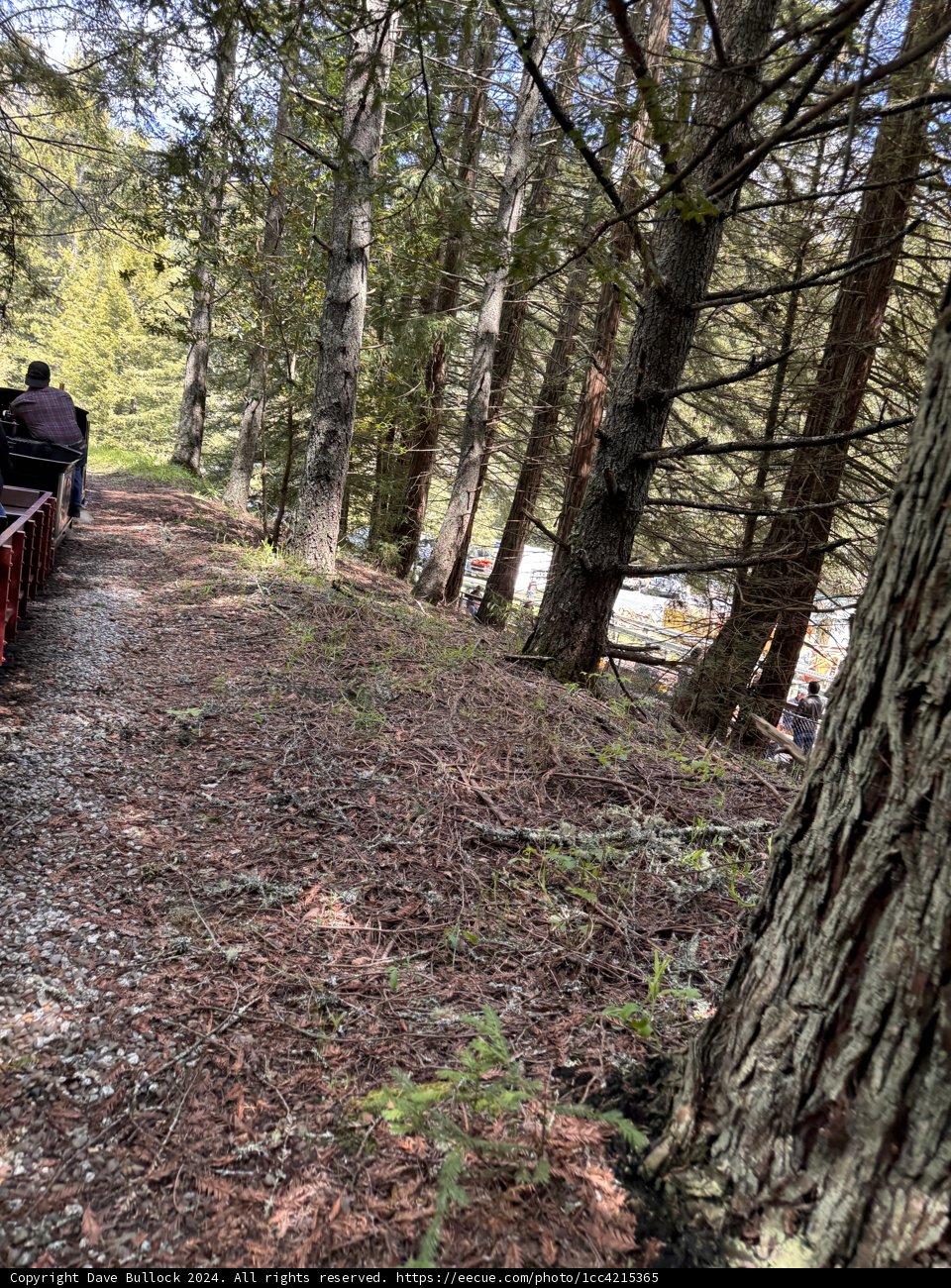 Journey Through the Tilden Trails