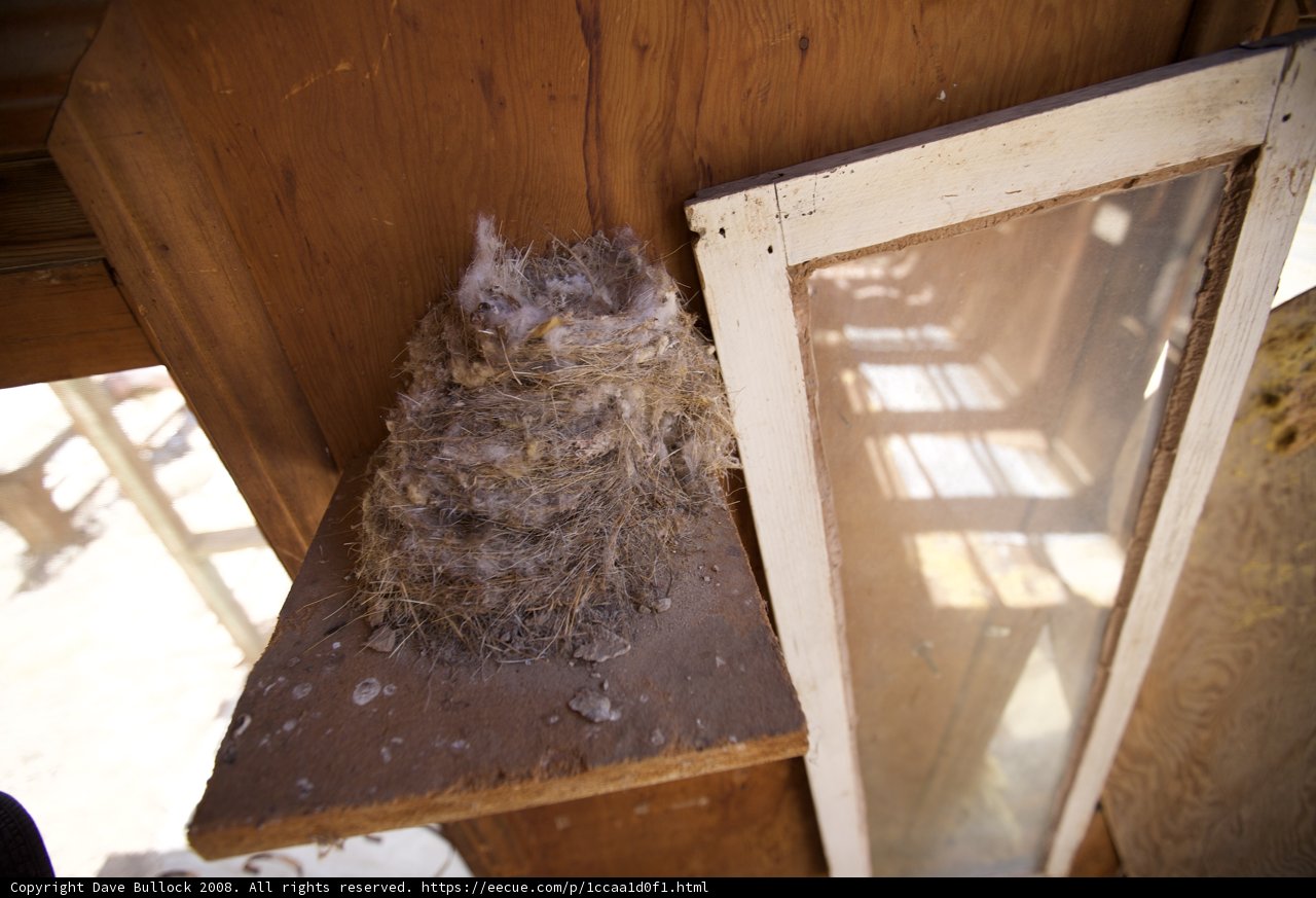 Nesting on Plywood