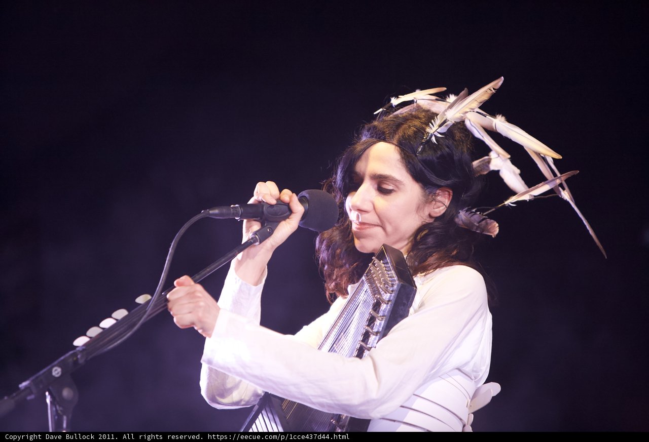 Feathers and Song
