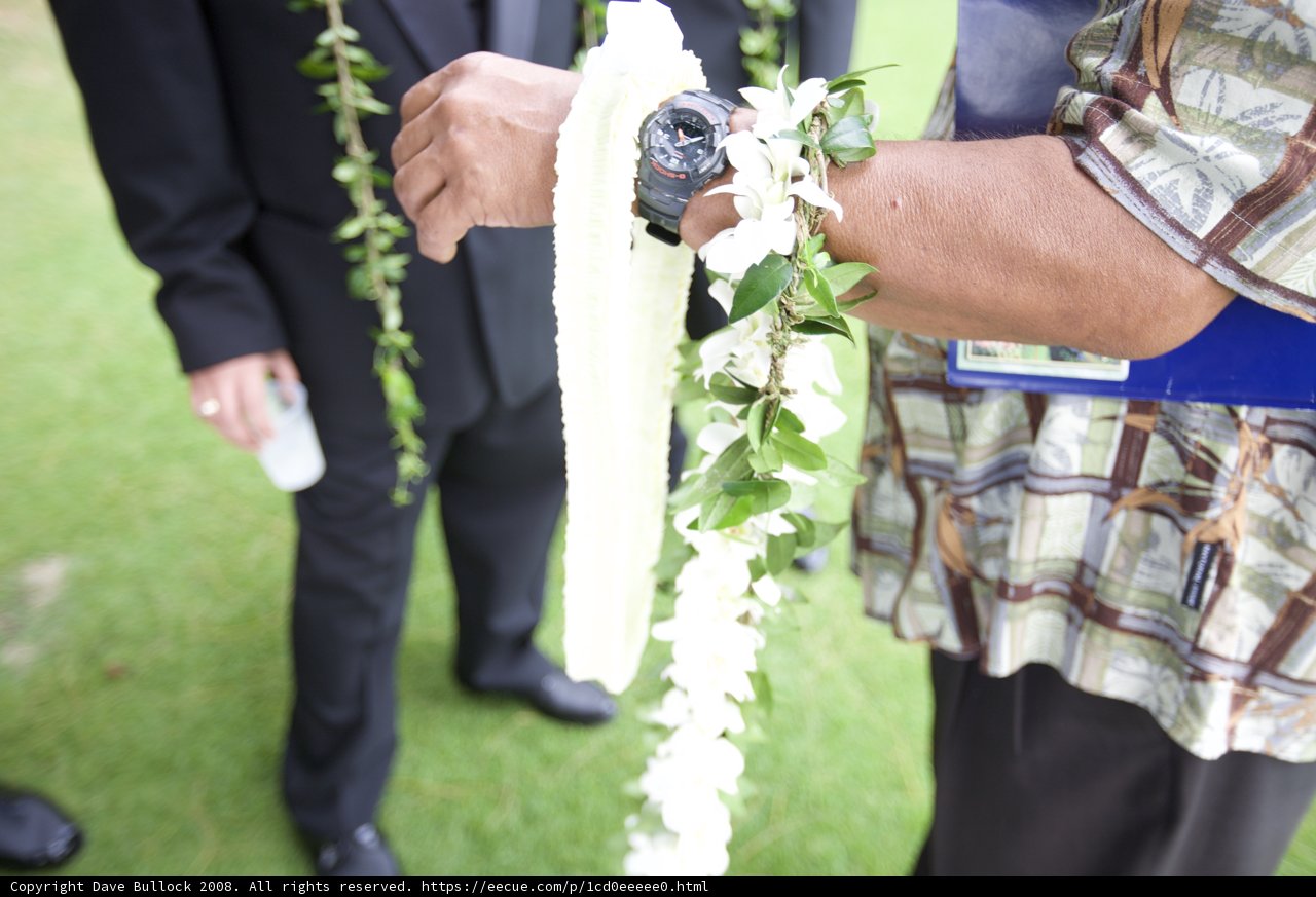Hawaiian Watch and Flower Garland