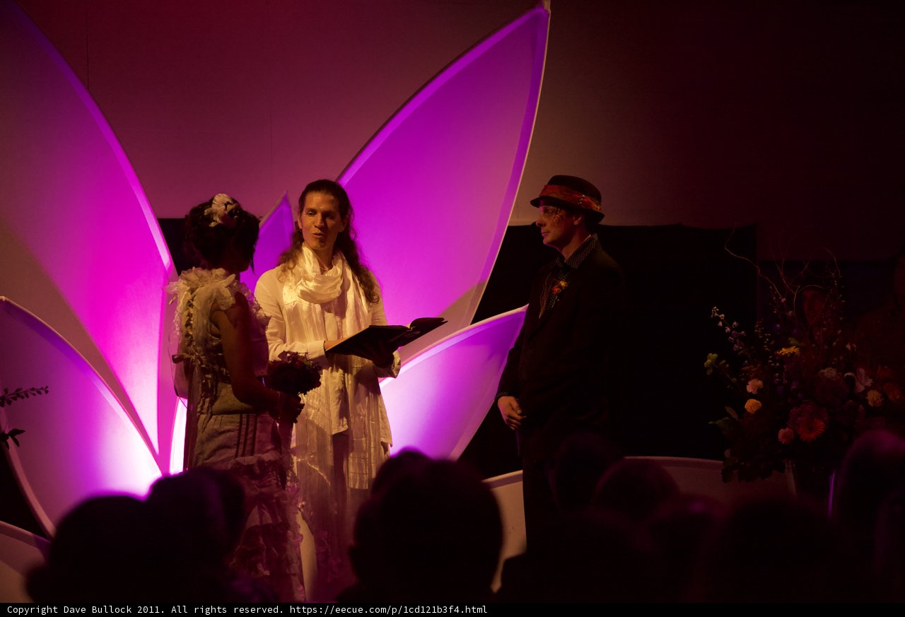 A Dreamy Wedding under the Purple Lights