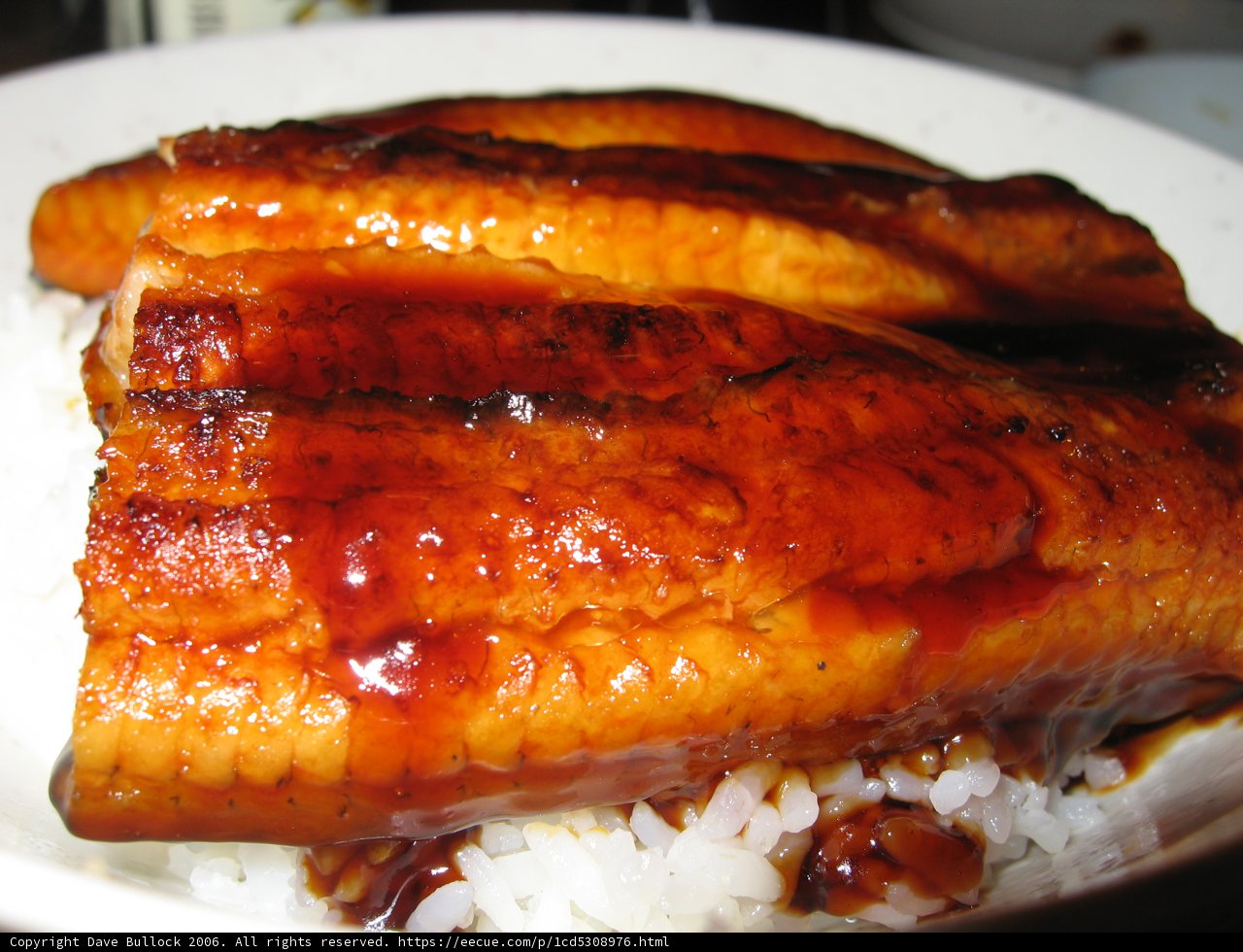 Teriyaki Pork and Rice