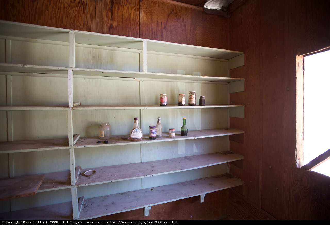 The Eclectic Shelf