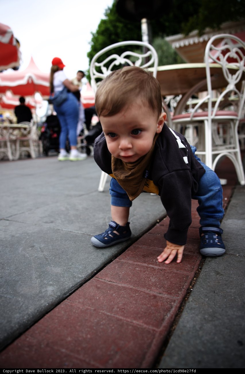 Adorable Baby Boy's Day Out at Disneyland