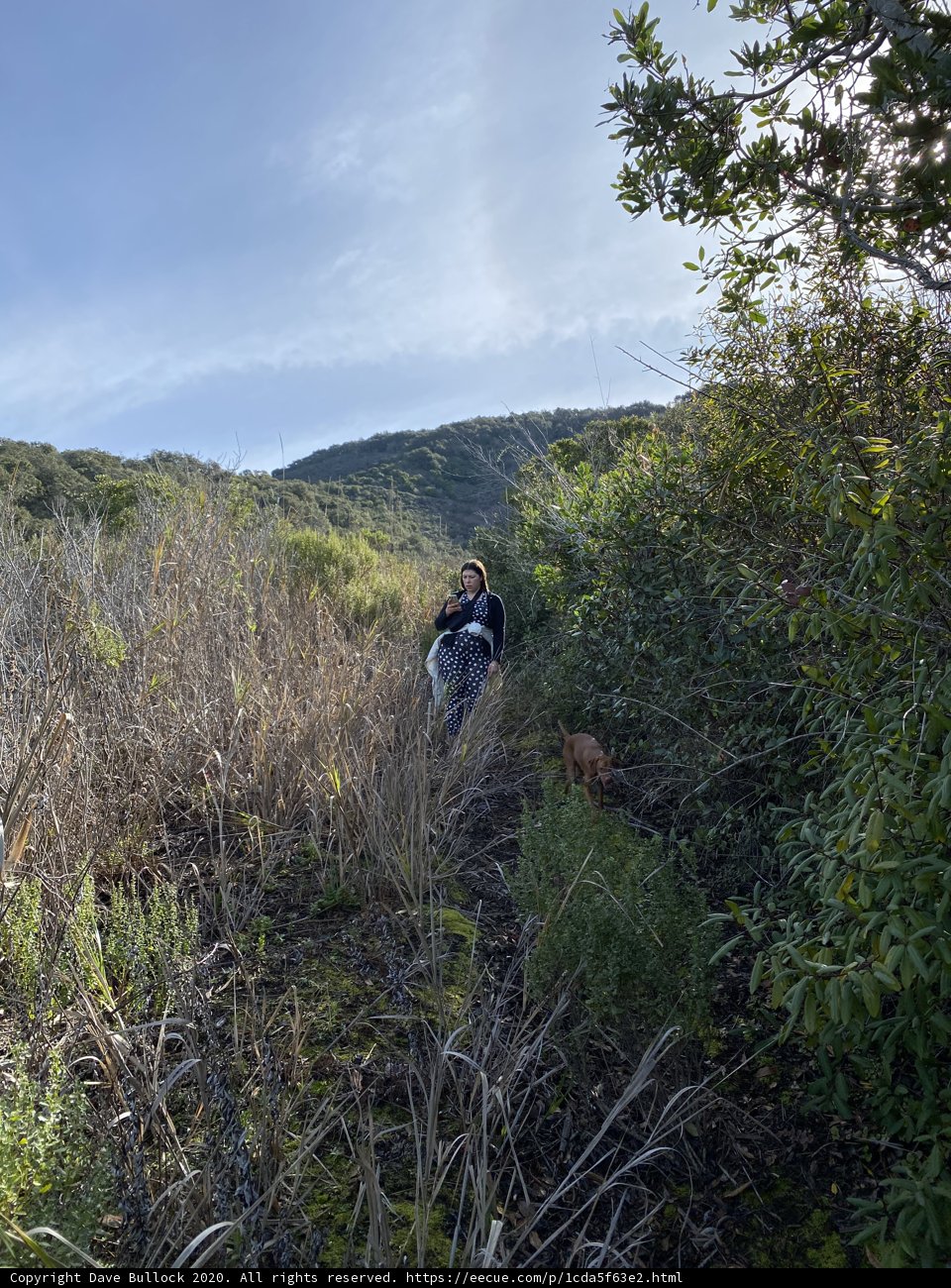 Journey through the Wilderness