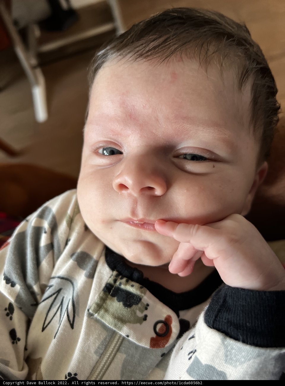 Baby Wesley posing for a portrait