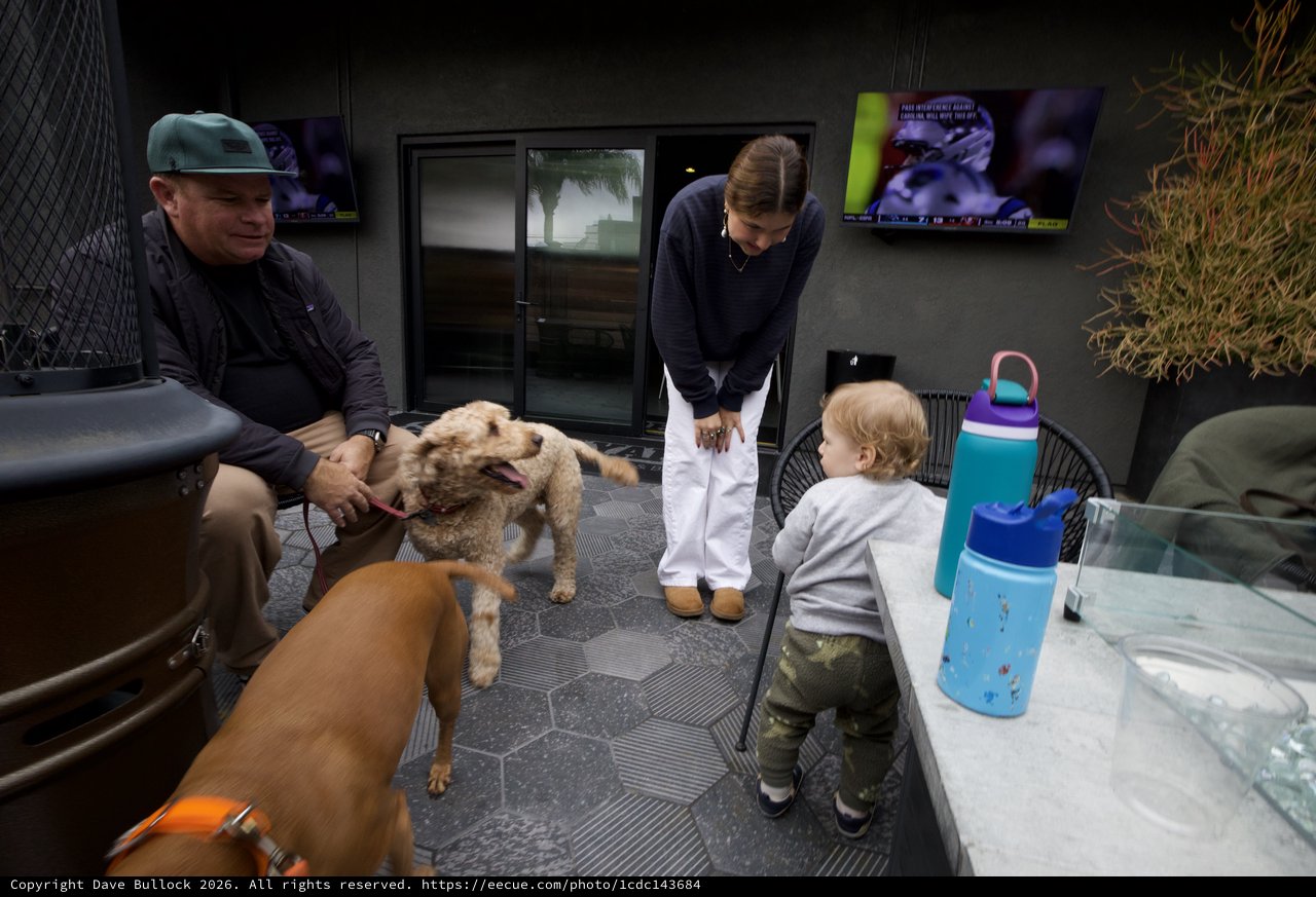 Family Moment with Dogs in Modern Patio Setting