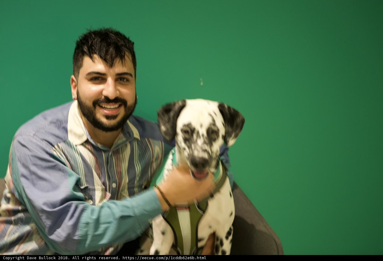 Man and his loyal Dalmatian
