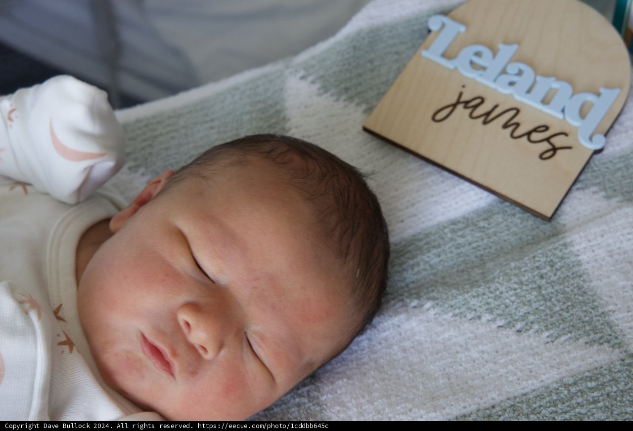 Welcome to the World, Leland