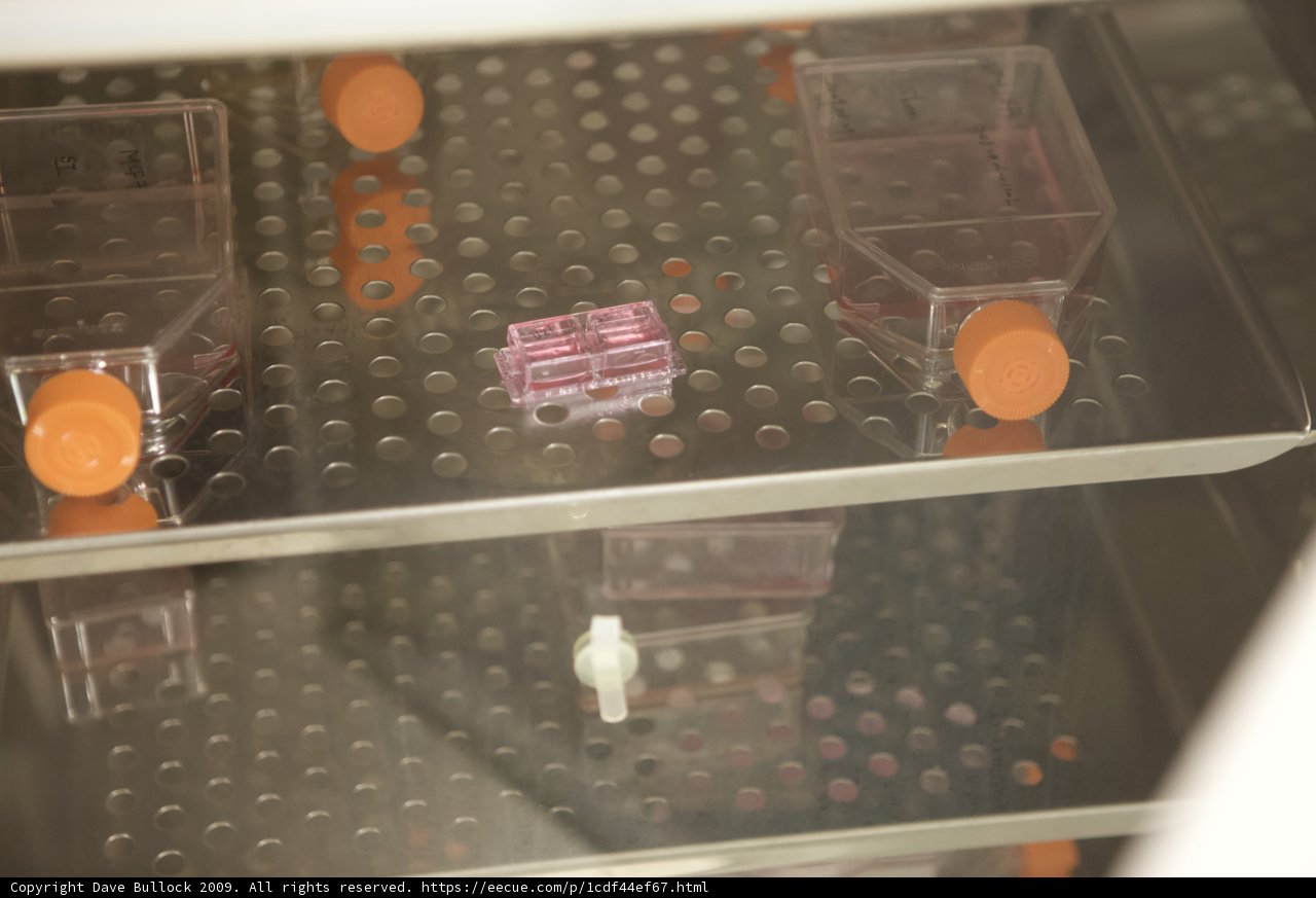 Micro Plastic Container